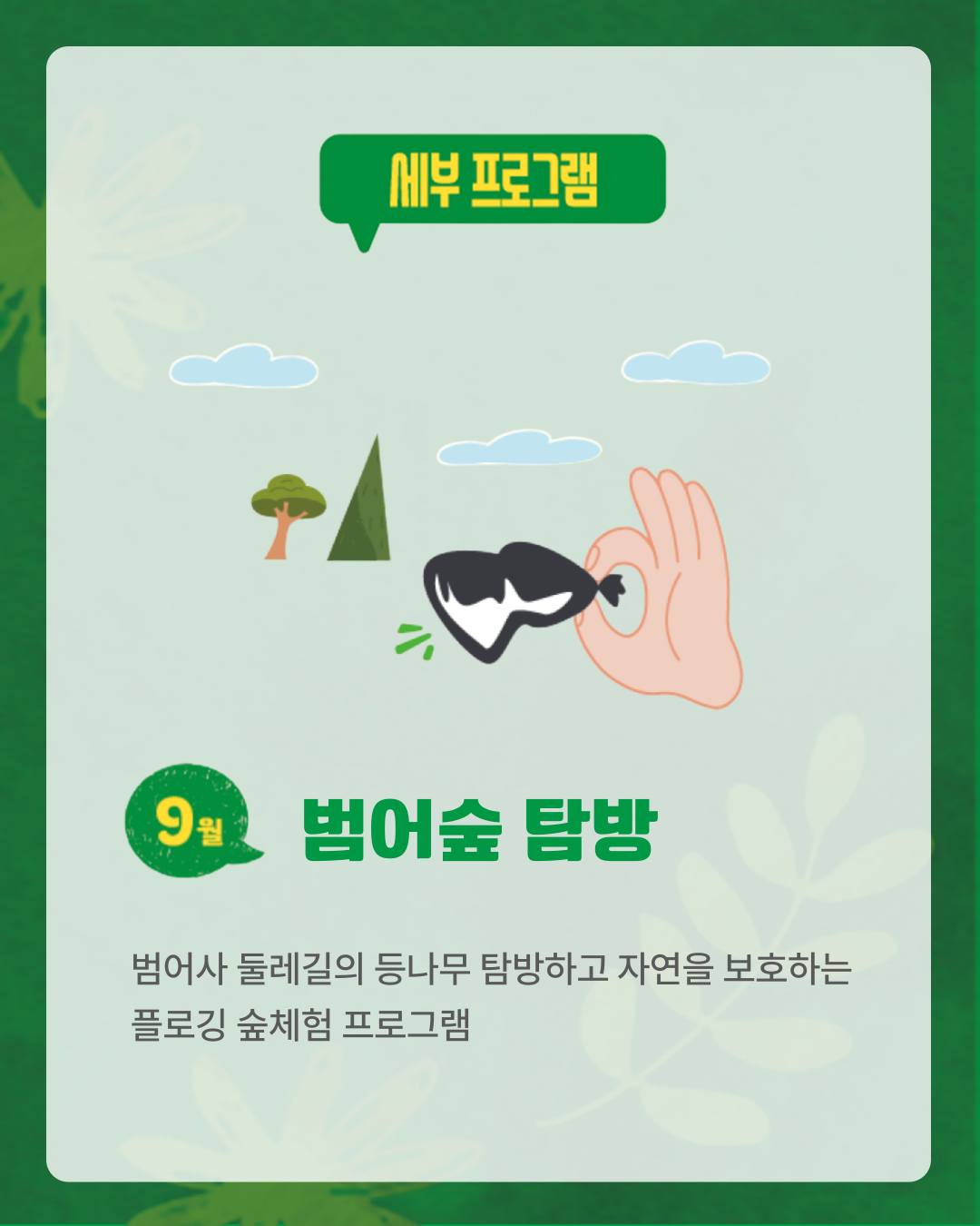[치유의 숲, 범어사] 범어숲 탐방